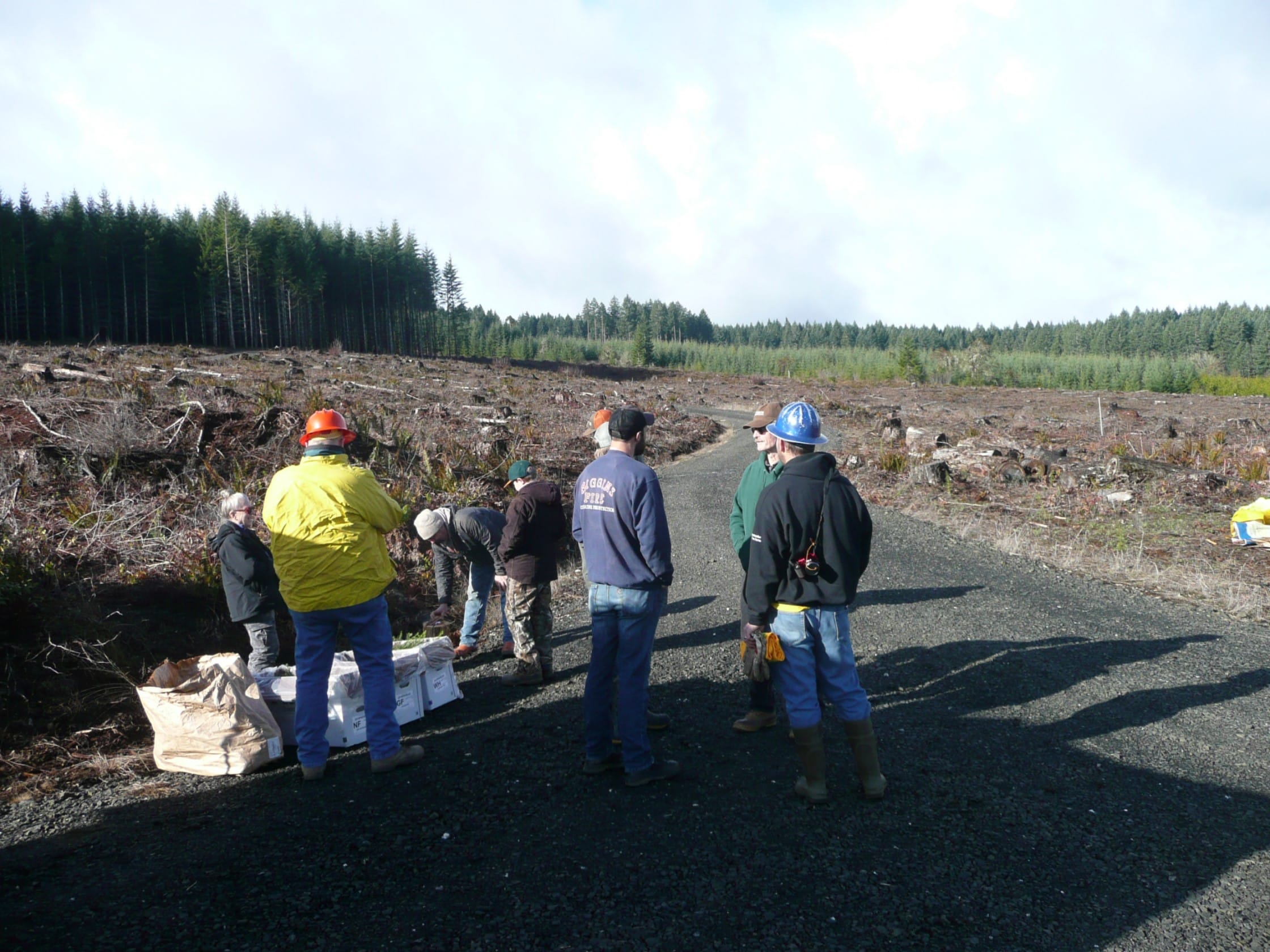 2022 Starker Forest Christmas Trees Tree Planting Day 2020
