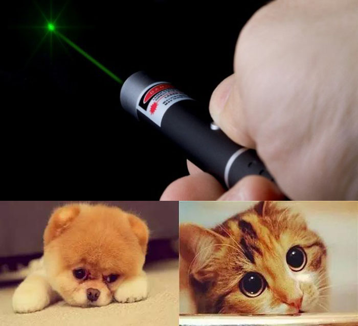 Laserpointer katze 50mW kaufen 532nm grüner für Katzenspielzeug spielen