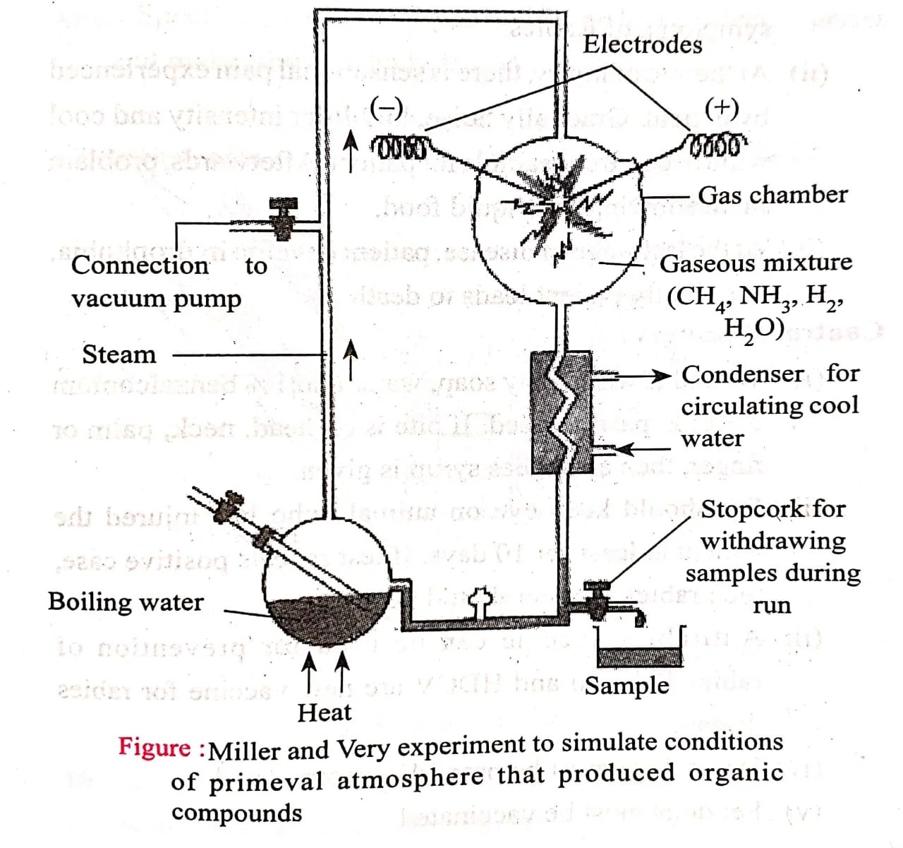 Class 12th Exam Biology VVI Objective Subjective Question Evolution