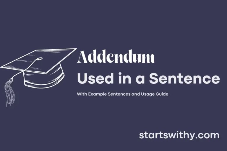 ADDENDUM in a Sentence Examples 21 Ways to Use Addendum