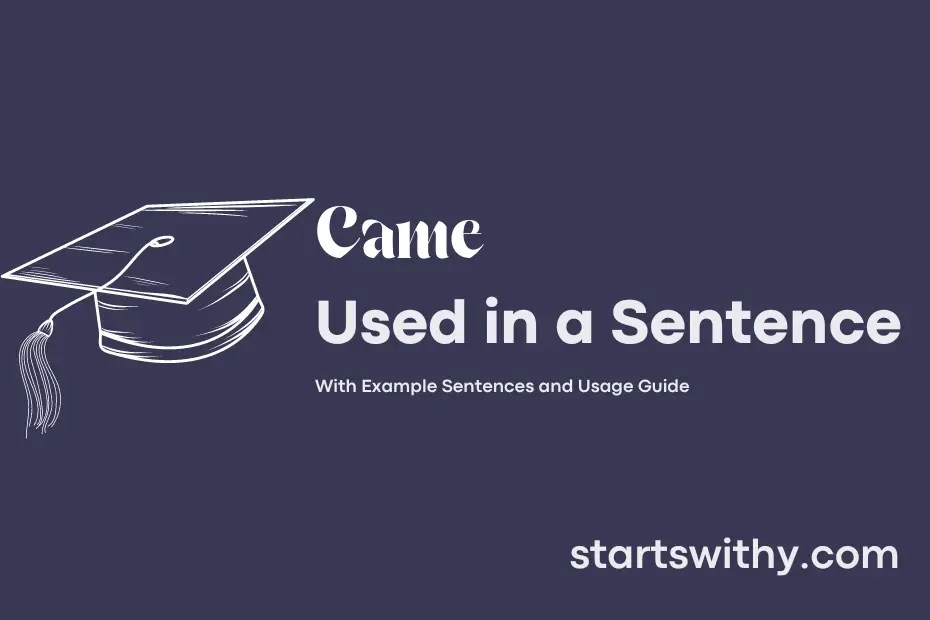 CAME in a Sentence Examples 21 Ways to Use Came