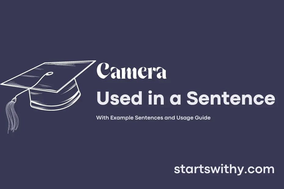 CAMERA in a Sentence Examples 21 Ways to Use Camera