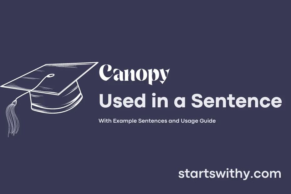 CANOPY in a Sentence Examples 21 Ways to Use Canopy