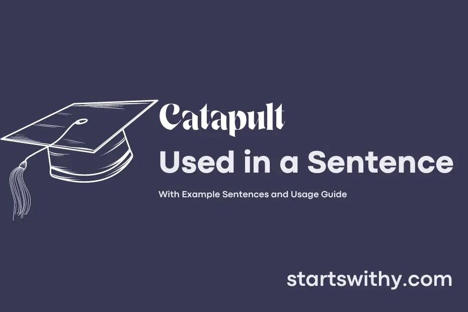 CATAPULT in a Sentence Examples 21 Ways to Use Catapult