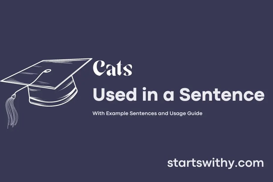 CATS in a Sentence Examples: 21 Ways to Use Cats