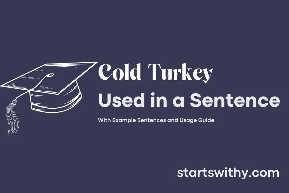 COLD TURKEY in a Sentence Examples 21 Ways to Use Cold Turkey