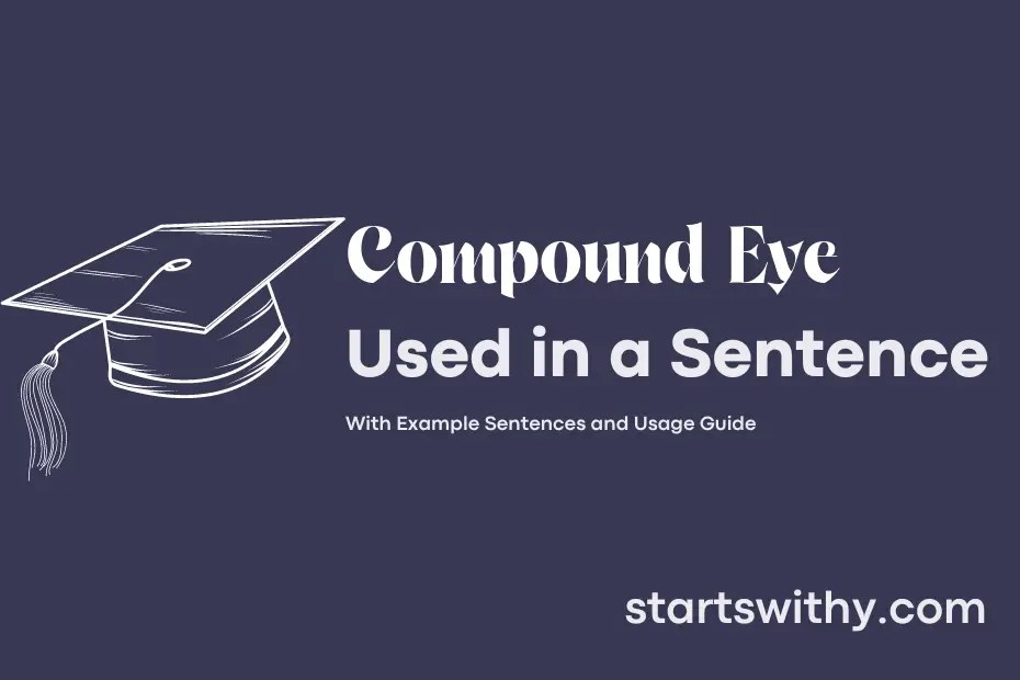COMPOUND EYE in a Sentence Examples 21 Ways to Use Compound Eye
