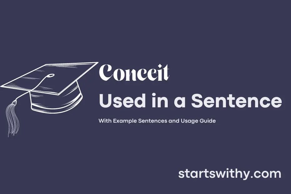 CONCEIT in a Sentence Examples 21 Ways to Use Conceit