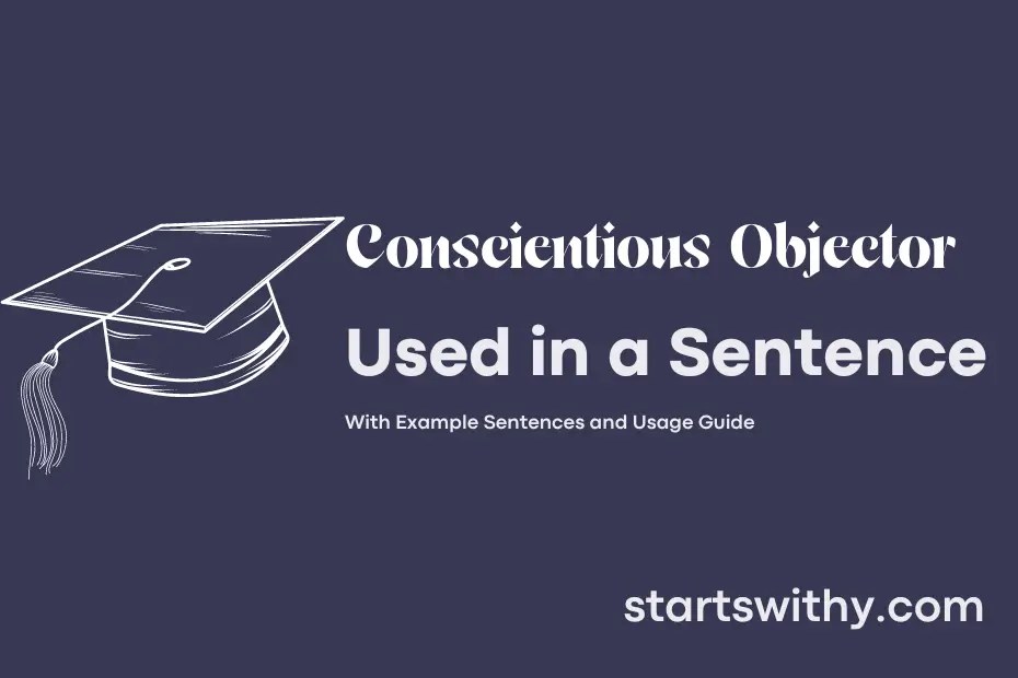 CONSCIENTIOUS OBJECTOR in a Sentence Examples 21 Ways to Use