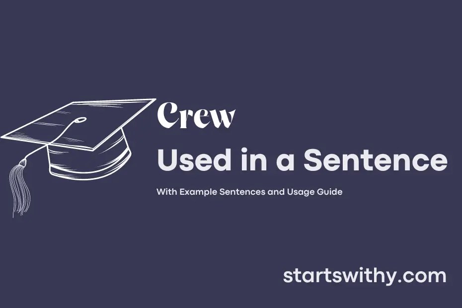 CREW in a Sentence Examples 21 Ways to Use Crew