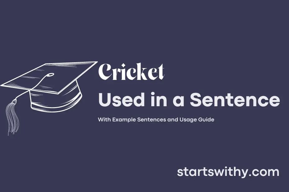 CRICKET in a Sentence Examples 21 Ways to Use Cricket