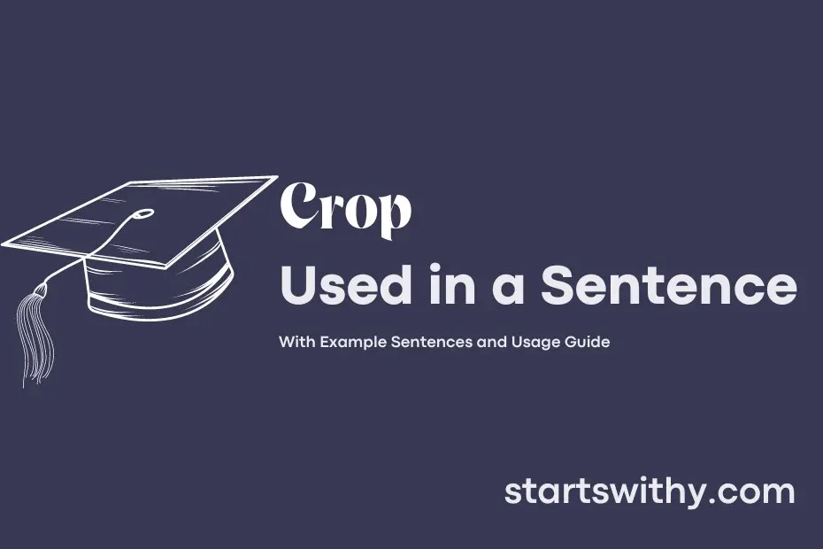 CROP in a Sentence Examples 21 Ways to Use Crop