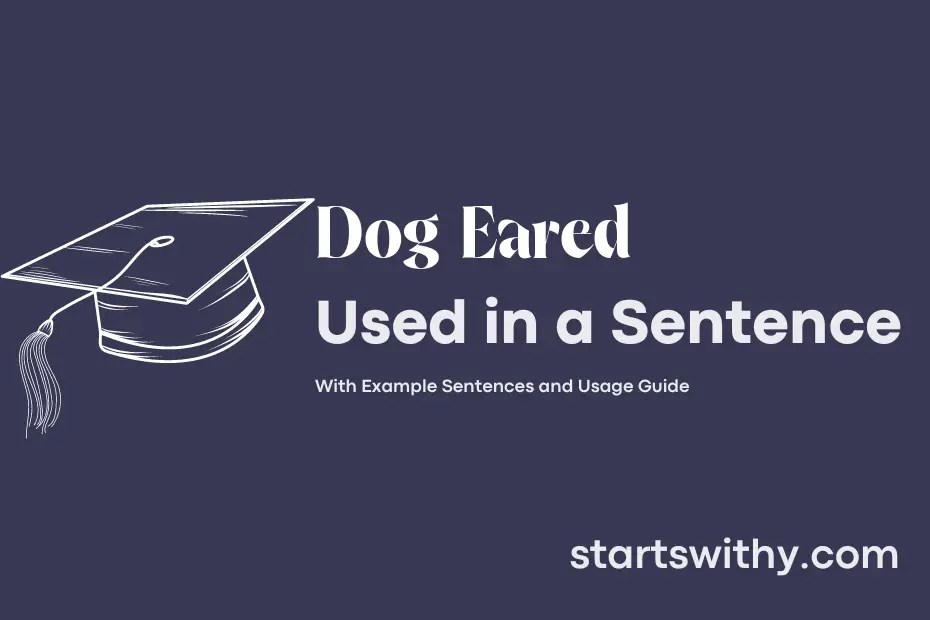 DOG EARED in a Sentence Examples 21 Ways to Use Dog Eared