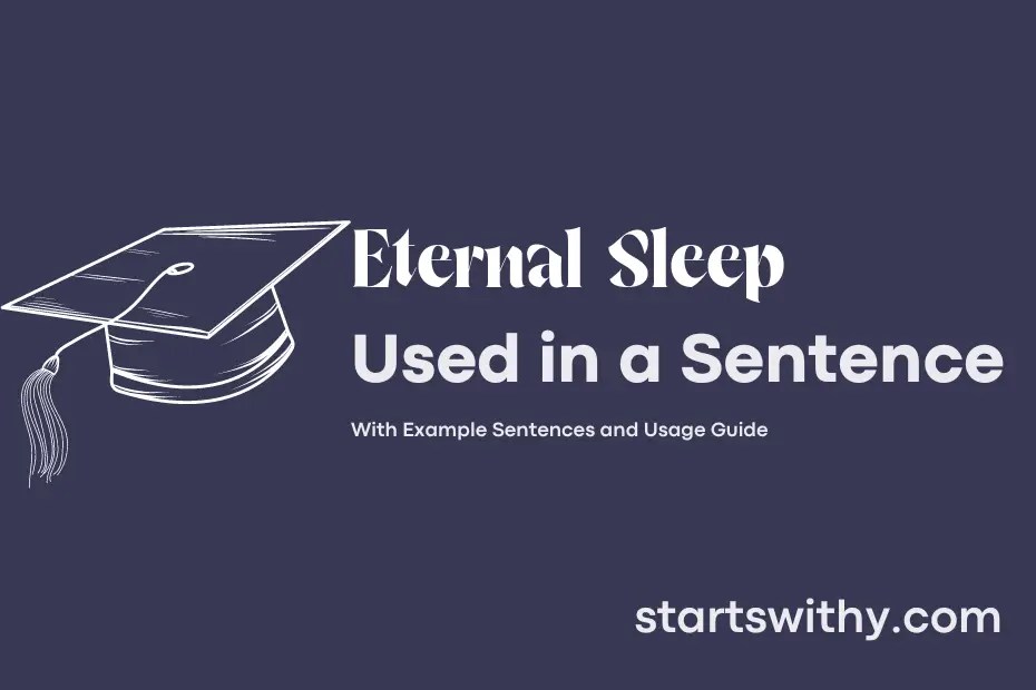ETERNAL SLEEP in a Sentence Examples 21 Ways to Use Eternal Sleep