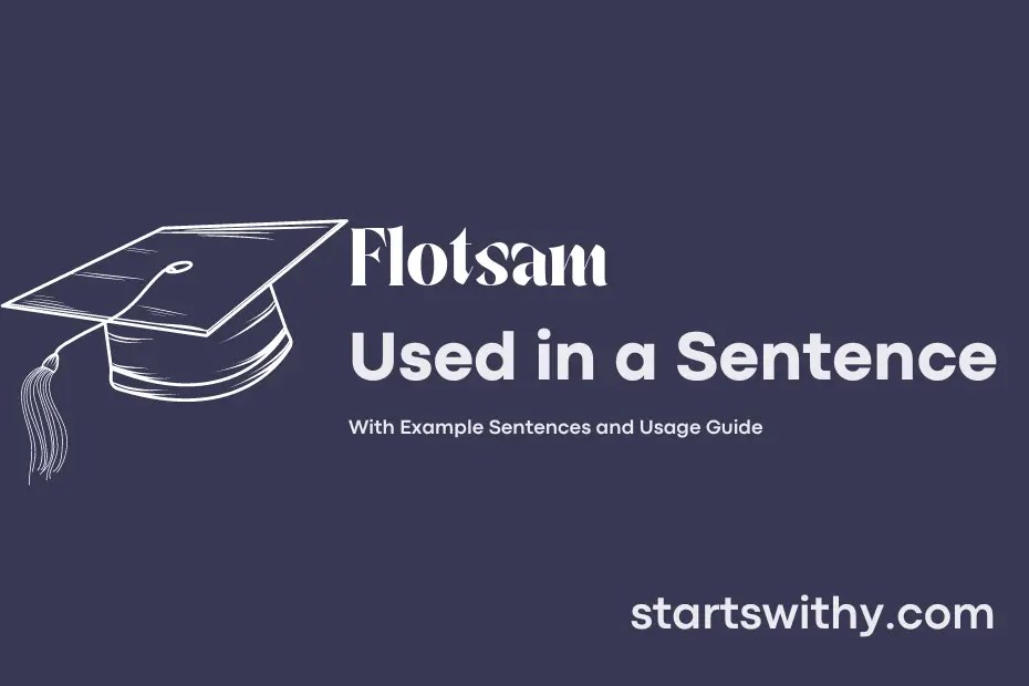 FLOTSAM in a Sentence Examples 21 Ways to Use Flotsam