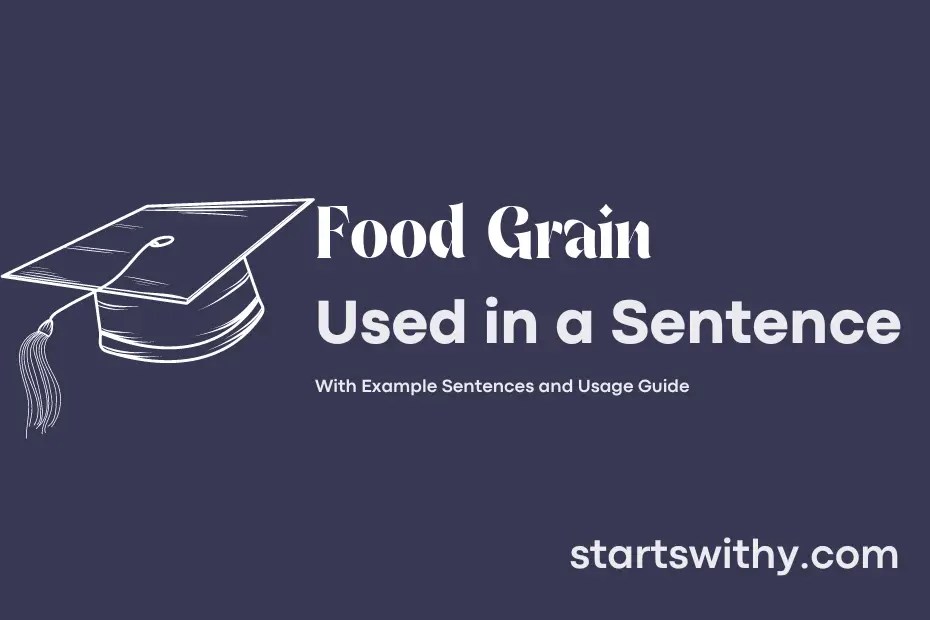 FOOD GRAIN in a Sentence Examples 21 Ways to Use Food Grain
