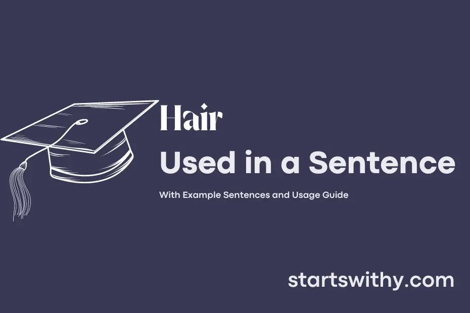 HAIR in a Sentence Examples 21 Ways to Use Hair