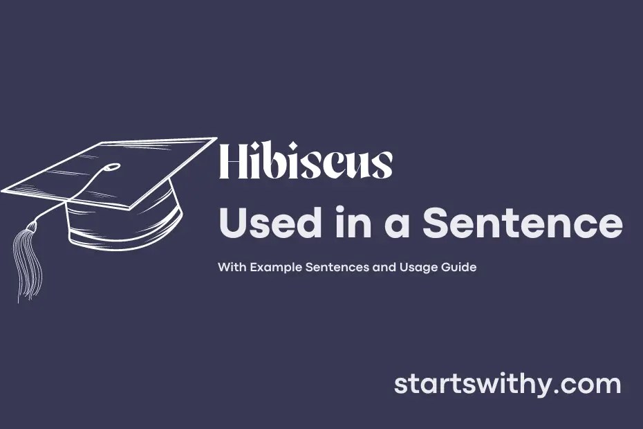 HIBISCUS in a Sentence Examples 21 Ways to Use Hibiscus