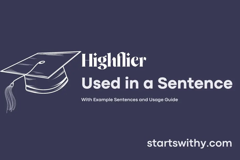 HIGHFLIER in a Sentence Examples 21 Ways to Use Highflier
