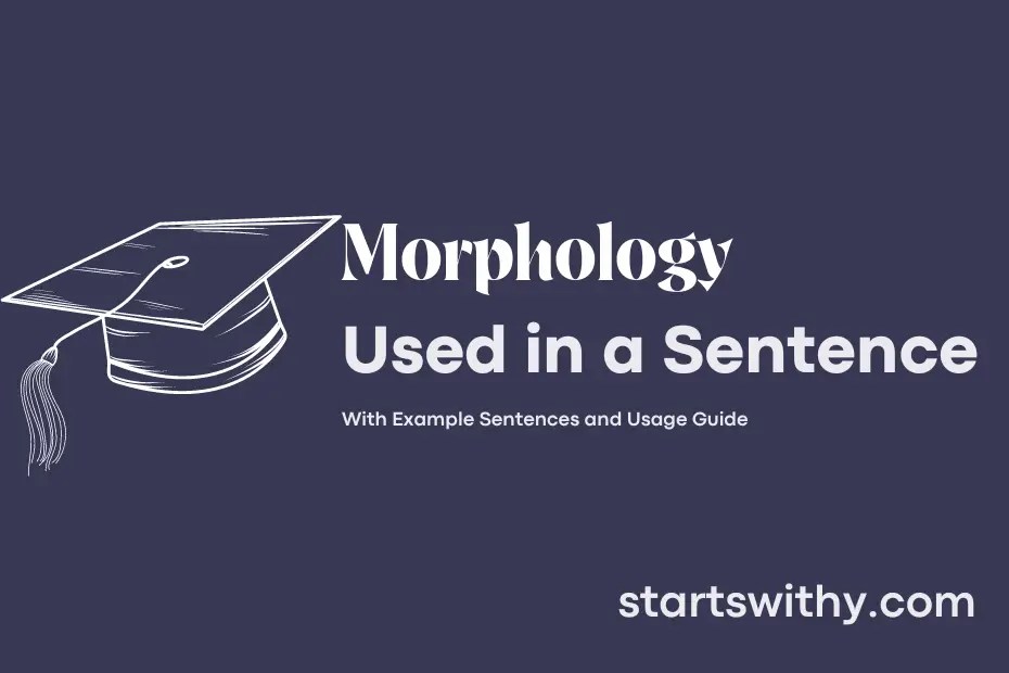 MORPHOLOGY in a Sentence Examples 21 Ways to Use Morphology