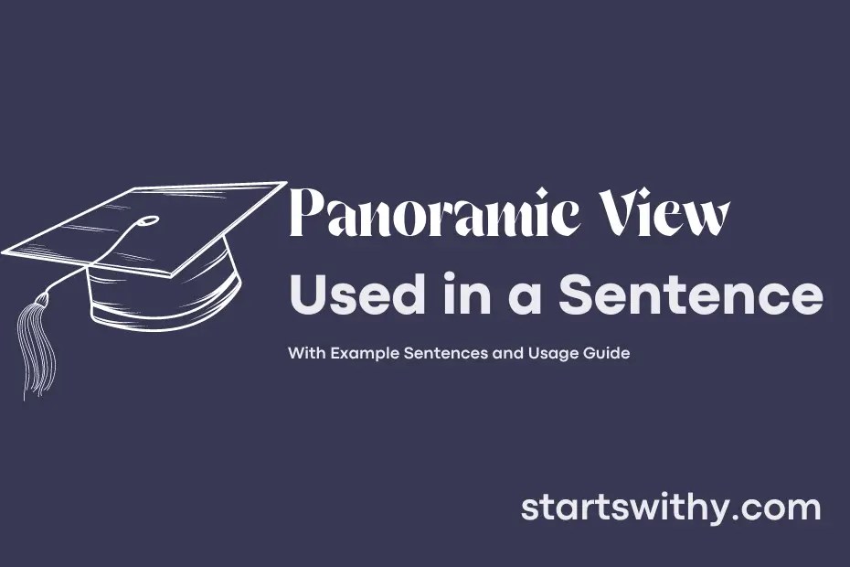 PANORAMIC VIEW in a Sentence Examples 21 Ways to Use Panoramic View