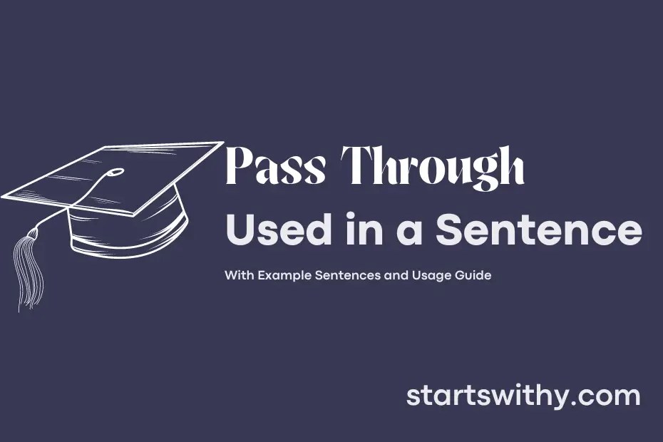 PASS THROUGH in a Sentence Examples 21 Ways to Use Pass Through