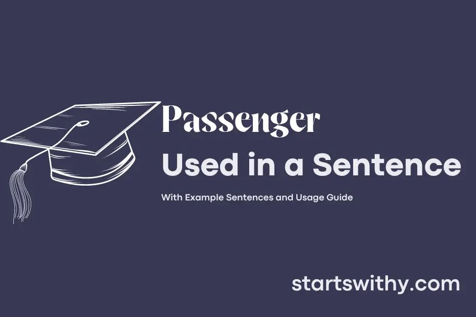 PASSENGER in a Sentence Examples 21 Ways to Use Passenger