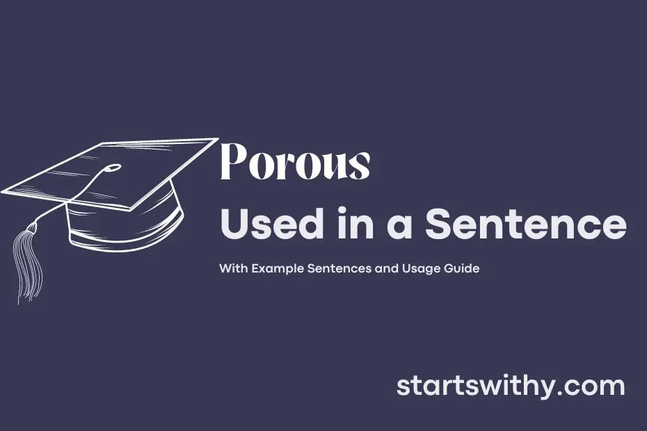 POROUS in a Sentence Examples 21 Ways to Use Porous