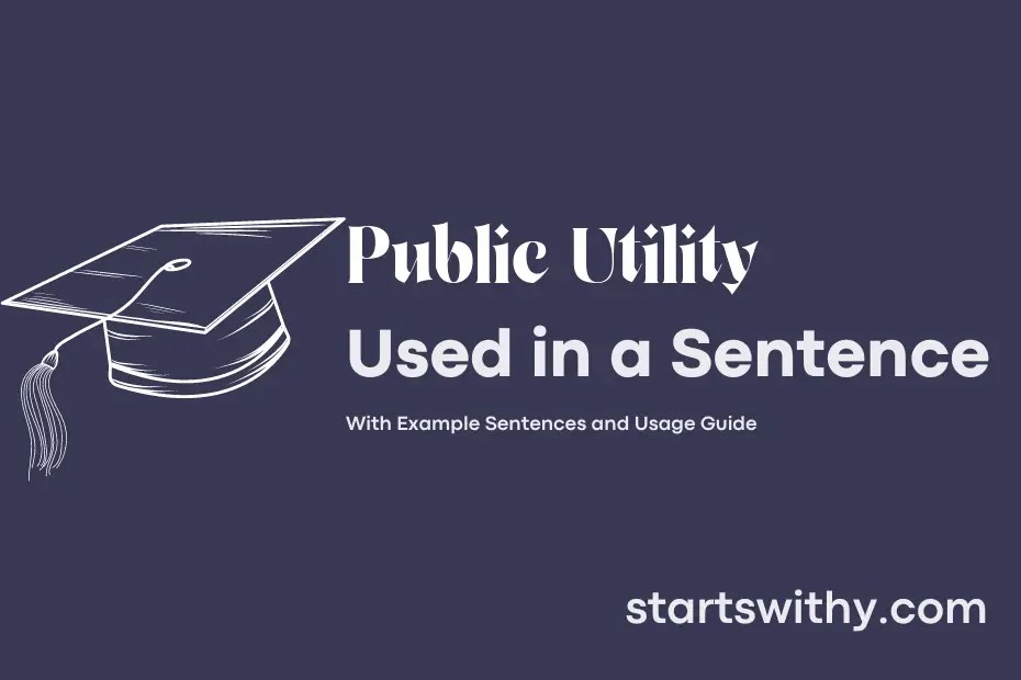 PUBLIC UTILITY in a Sentence Examples 21 Ways to Use Public Utility