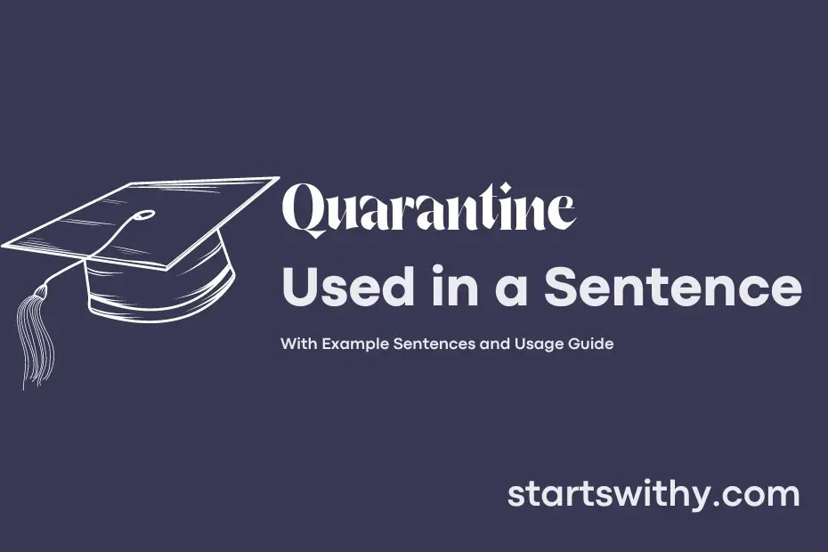 QUARANTINE in a Sentence Examples 21 Ways to Use Quarantine