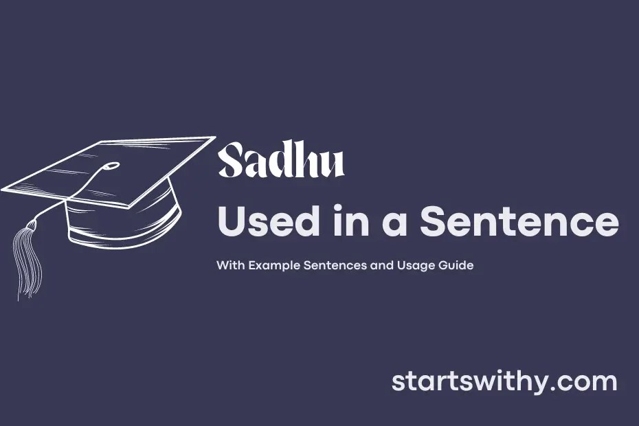 SADHU in a Sentence Examples 21 Ways to Use Sadhu
