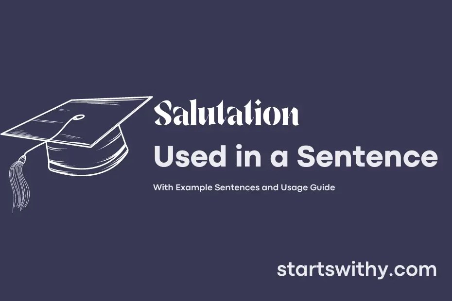 SALUTATION in a Sentence Examples 21 Ways to Use Salutation