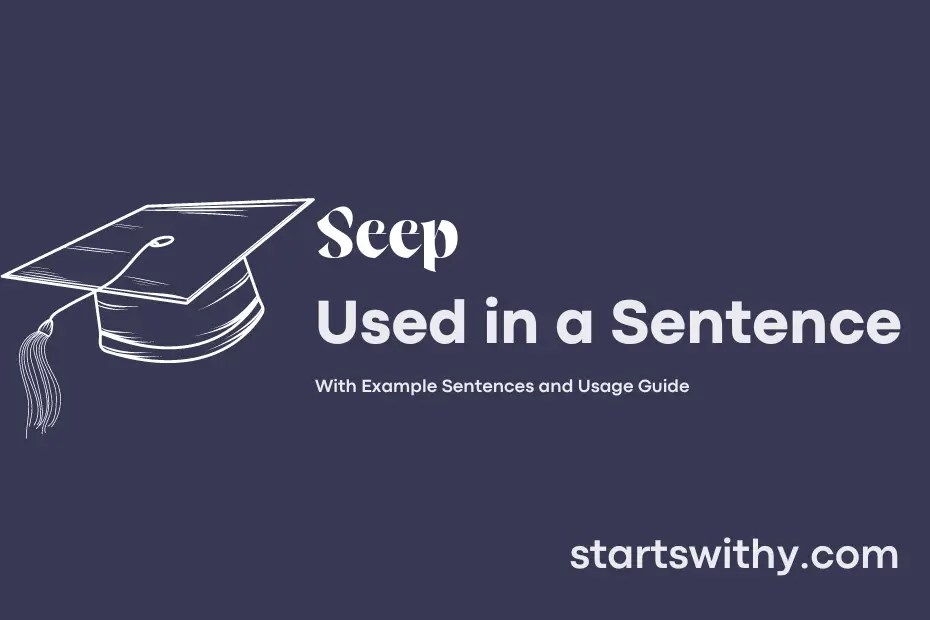 SEEP in a Sentence Examples 21 Ways to Use Seep