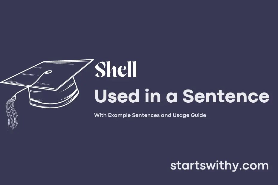 SHELL in a Sentence Examples 21 Ways to Use Shell