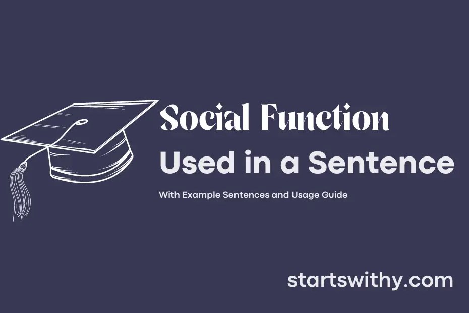 SOCIAL FUNCTION in a Sentence Examples 21 Ways to Use Social Function