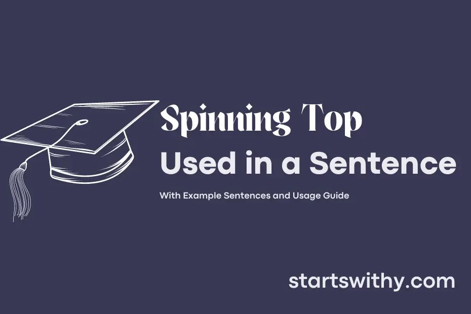SPINNING TOP in a Sentence Examples 21 Ways to Use Spinning Top