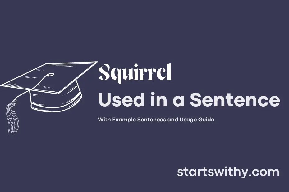 SQUIRREL in a Sentence Examples 21 Ways to Use Squirrel