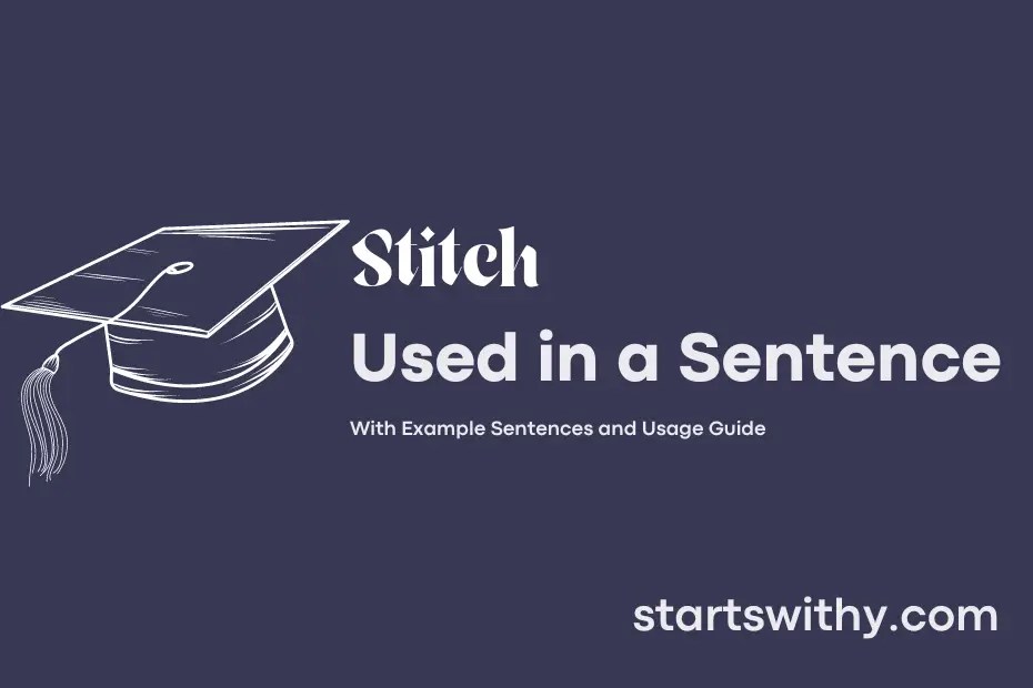 STITCH in a Sentence Examples 21 Ways to Use Stitch