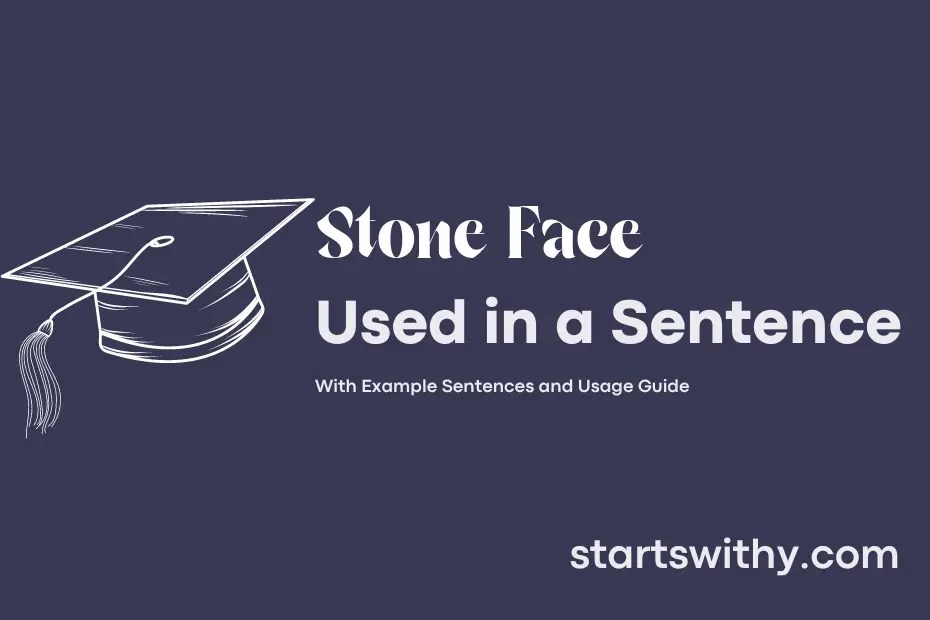 STONE FACE in a Sentence Examples 21 Ways to Use Stone Face