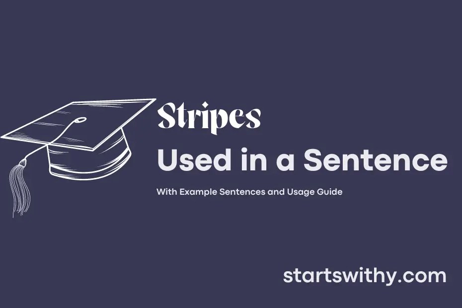 STRIPES in a Sentence Examples: 21 Ways to Use Stripes