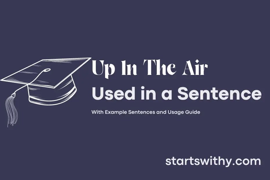 UP IN THE AIR in a Sentence Examples 21 Ways to Use Up In The Air