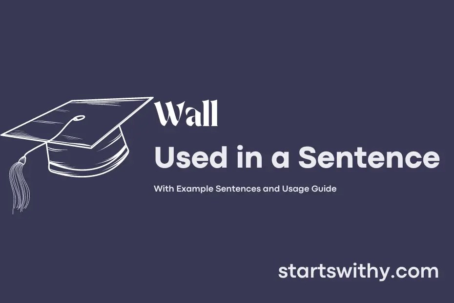 WALL in a Sentence Examples 21 Ways to Use Wall