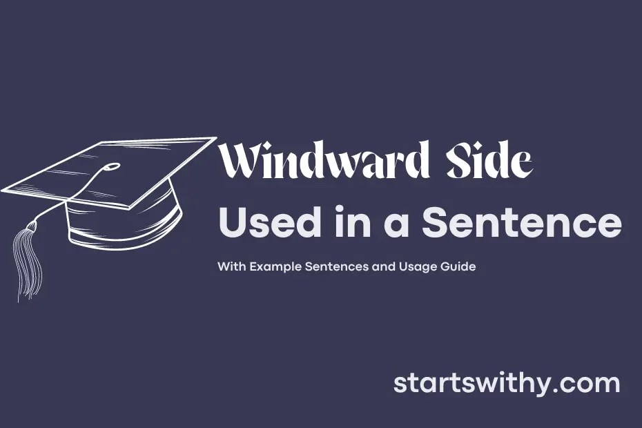 WINDWARD SIDE in a Sentence Examples 21 Ways to Use Windward Side