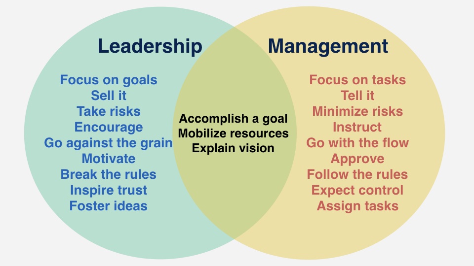 Why Is It Important for Startups to Have More Leaders & How to Get Them