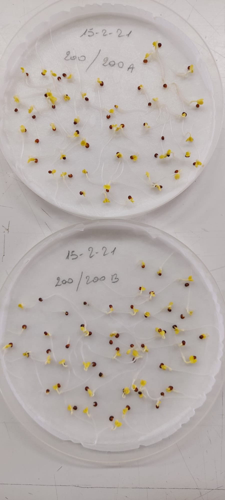 Analysing seed germination and emergence data with R a tutorial