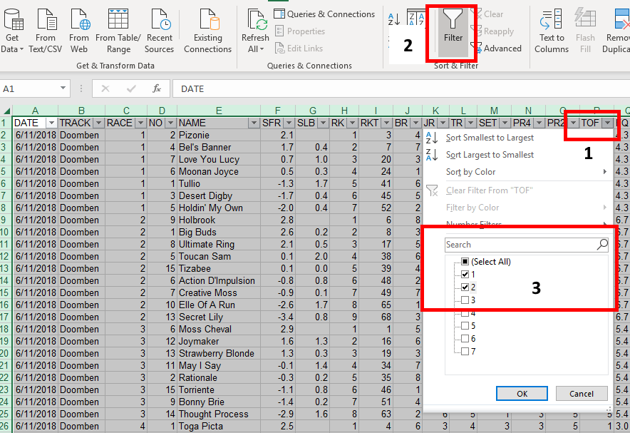 Horse Racing Excel Data Tutorial