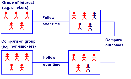 Cohort Study (Retrospective, Prospective) Definition, Examples