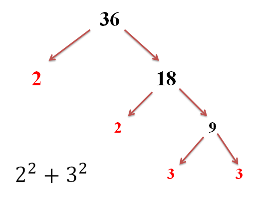 Prime Factorization with Factor Trees