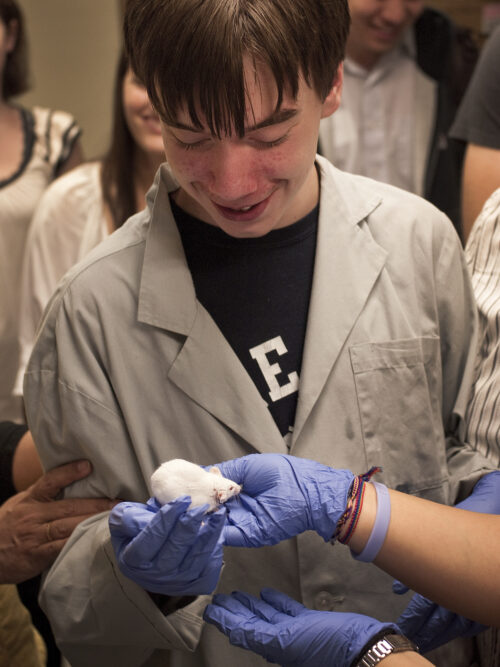 FDA needs to be more flexible assessing rare disease treatments STAT