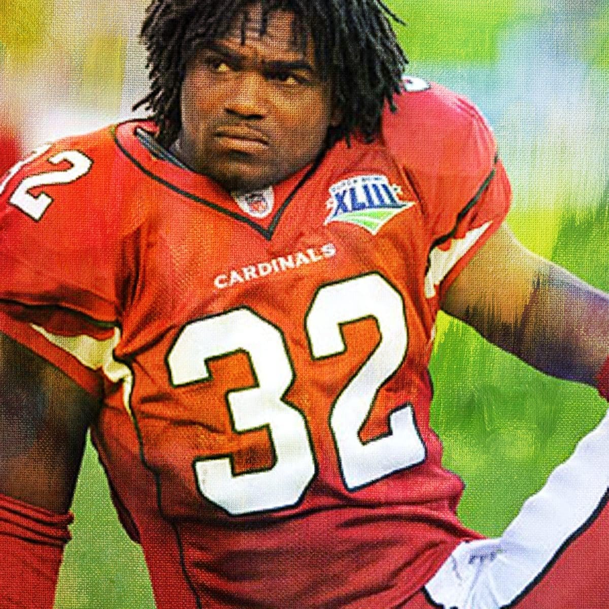Edgerrin James Stats 2009? NFL Career, Season, and Playoff Statistics